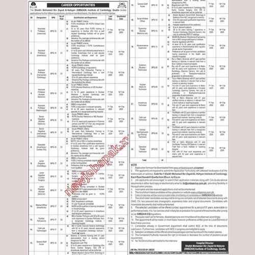 Medical Jobs In Quetta in February 2025